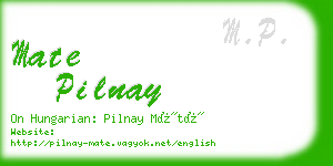 mate pilnay business card